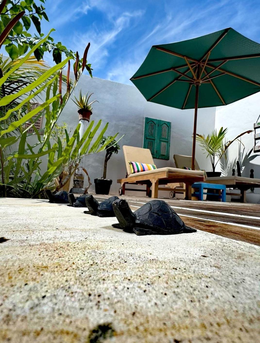 Villa La Vida Gili Trawangan Extérieur photo